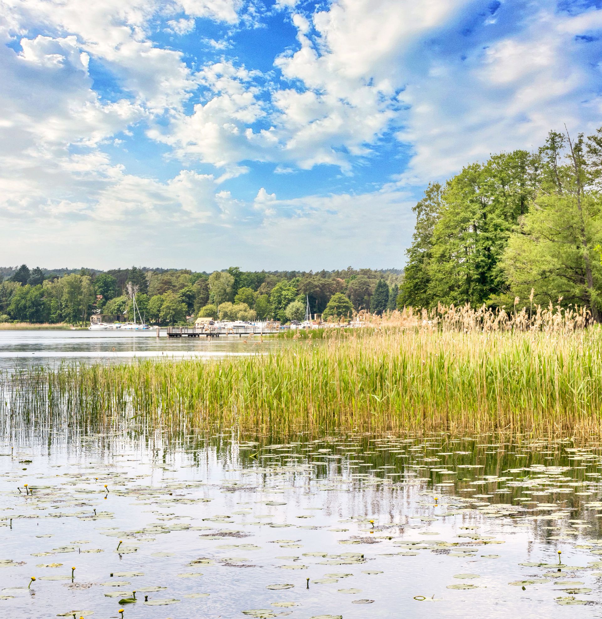 bloom-bad-saarow-lage-03a_c